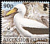 Masked Booby Sula dactylatra  2004 BirdLife International p 14½x13¾