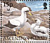 Masked Booby Sula dactylatra  2004 BirdLife International Sheet, p 14Â½