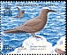 Brown Noddy Anous stolidus  2005 BirdLife International 