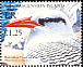 Red-billed Tropicbird Phaethon aethereus