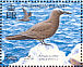 Brown Noddy Anous stolidus  2005 BirdLife International Sheet