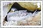 White-tailed Tropicbird Phaethon lepturus  2009 Tropicbird Sheet with 4 sets