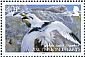 White-tailed Tropicbird Phaethon lepturus  2009 Tropicbird Sheet with 4 sets