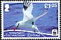 Red-billed Tropicbird Phaethon aethereus  2011 WWF 