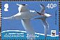Red-billed Tropicbird Phaethon aethereus  2011 WWF Sheet with 4 sets