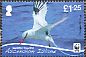 Red-billed Tropicbird Phaethon aethereus  2011 WWF Sheet with 4 sets