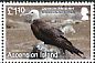 Ascension Frigatebird Fregata aquila