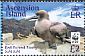 Red-footed Booby Sula sula