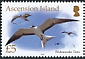 Sooty Tern Onychoprion fuscatus  2020 Definitives 12v set