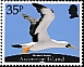 Masked Booby Sula dactylatra