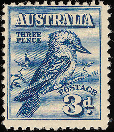 aul192801l Kookaburra, the laughing Monkey bird | Kedvencünk, a nevető kookaburra