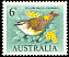 Yellow-rumped Thornbill Acanthiza chrysorrhoa  1964 Birds 