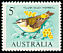 Yellow-rumped Thornbill Acanthiza chrysorrhoa  1966 Definitives 