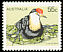 Comb-crested Jacana Irediparra gallinacea  1978 Australian birds 