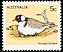 Hooded Dotterel Thinornis cucullatus  1978 Australian birds 