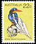 Buff-breasted Paradise Kingfisher Tanysiptera sylvia  1980 Australian birds 