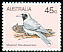 Masked Woodswallow Artamus personatus  1980 Australian birds 