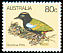 Rainbow Pitta Pitta iris  1980 Australian birds 