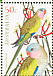 Princess Parrot Polytelis alexandrae  2005 Australian parrots Sheet