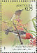 Scarlet Myzomela Myzomela sanguinolenta  2009 Australian songbirds Prestige booklet