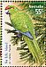 Norfolk Parakeet Cyanoramphus cookii  2009 Species at risk, in yearbook Sheet