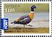 Australian Shelduck Tadorna tadornoides  2013 Australian birds on stamps Prestige booklet, pane 2