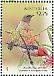 Scarlet Myzomela Myzomela sanguinolenta  2013 Australian birds on stamps Prestige booklet, pane 4