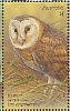 Eastern Grass Owl Tyto longimembris  2016 Owls Sheet