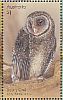 Greater Sooty Owl Tyto tenebricosa  2016 Owls Sheet