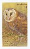 Eastern Grass Owl Tyto longimembris  2016 Owls Booklet, sa