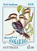 Laughing Kookaburra Dacelo novaeguineae  2020 Bird emblems sa