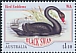 Black Swan Cygnus atratus  2020 Bird emblems 