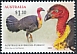 Australian Brushturkey Alectura lathami  2022 Megapodes of Australia 