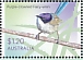 Purple-crowned Fairywren Malurus coronatus  2023 Fairy-wrens Sheet