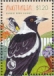 Australian Magpie Gymnorhina tibicen  2023 Aussie bird count Sheet