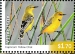 Yellow Chat Epthianura crocea