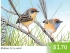 Mallee Emu-wren Stipiturus mallee