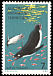 Adelie Penguin Pygoscelis adeliae