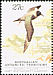 Light-mantled Albatross Phoebetria palpebrata  1983 Regional wildlife 5v strip