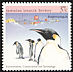 Emperor Penguin Aptenodytes forsteri