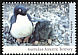 Adelie Penguin Pygoscelis adeliae  1992 Antarctic wildlife 