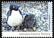 Adelie Penguin Pygoscelis adeliae