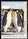 Emperor Penguin Aptenodytes forsteri  1992 Antarctic wildlife 