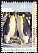 Emperor Penguin Aptenodytes forsteri