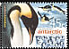 Emperor Penguin Aptenodytes forsteri  2000 Antarctic penguins 