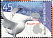 Wandering Albatross Diomedea exulans  2002 Australian Antarctic research 4v set