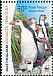 Royal Penguin Eudyptes schlegeli  2007 WWF 