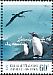 Black-browed Albatross Thalassarche melanophris  2011 Antarctic expedition 5v set