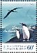 Black-browed Albatross Thalassarche melanophris  2011 Antarctic expedition 5v sheet