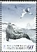 Antarctic Petrel Thalassoica antarctica  2013 Antarctic expedition 5v set